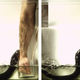This series of photographs shows an electric eel leaping onto a human arm. Credit: Kenneth Catania